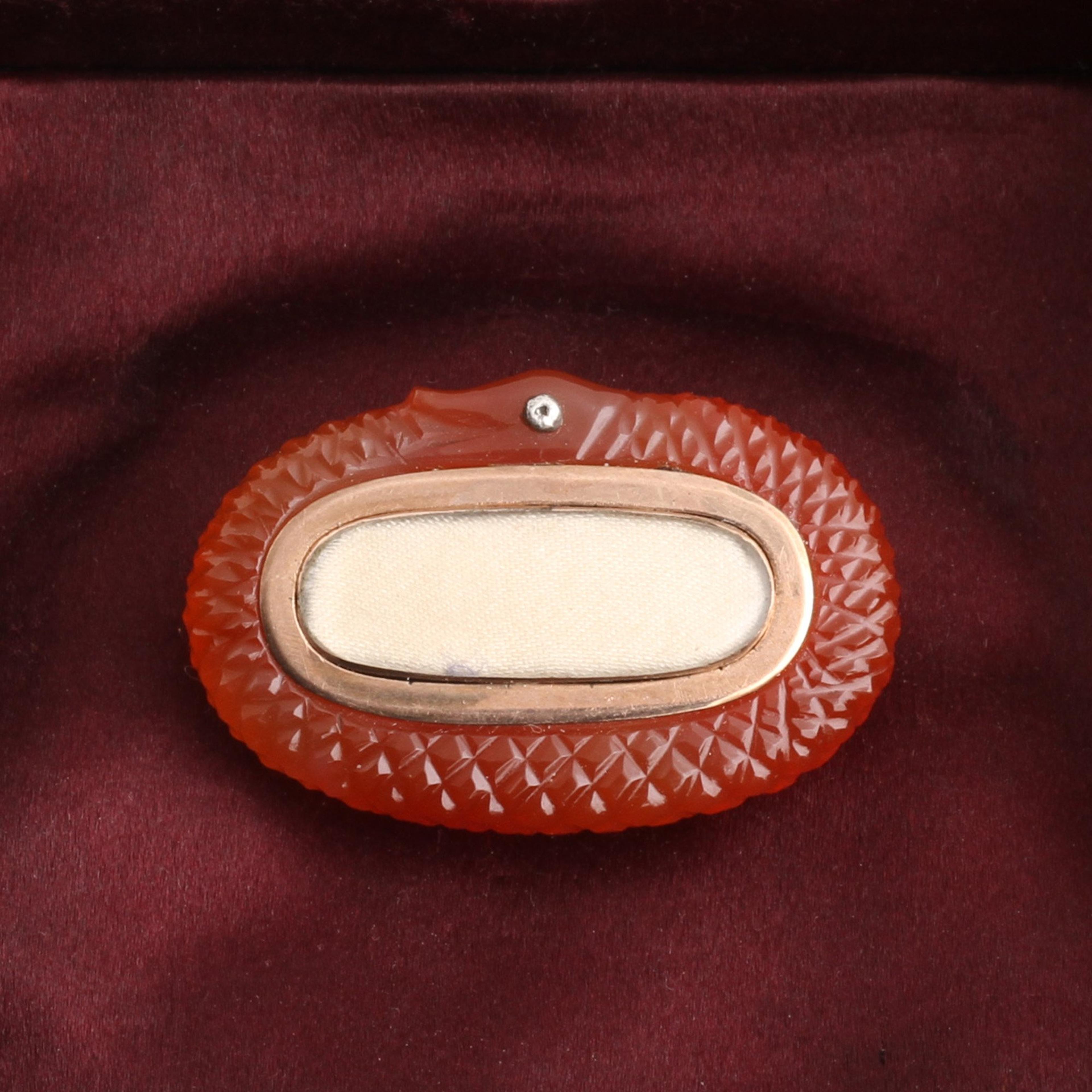 Detail of Victorian Carved Carnelian Ouroboros Brooch