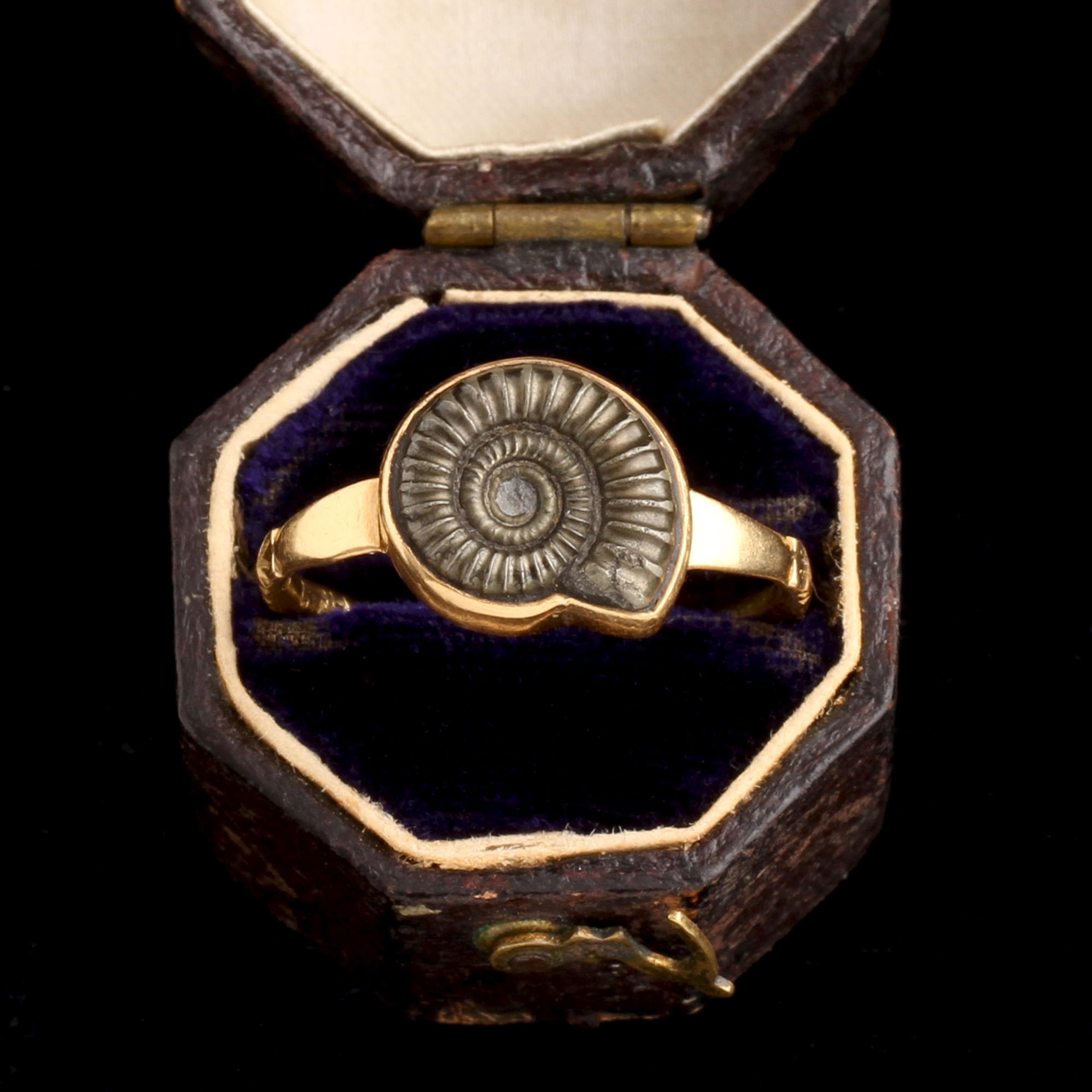 Vintage Ammonite Fossil Ring