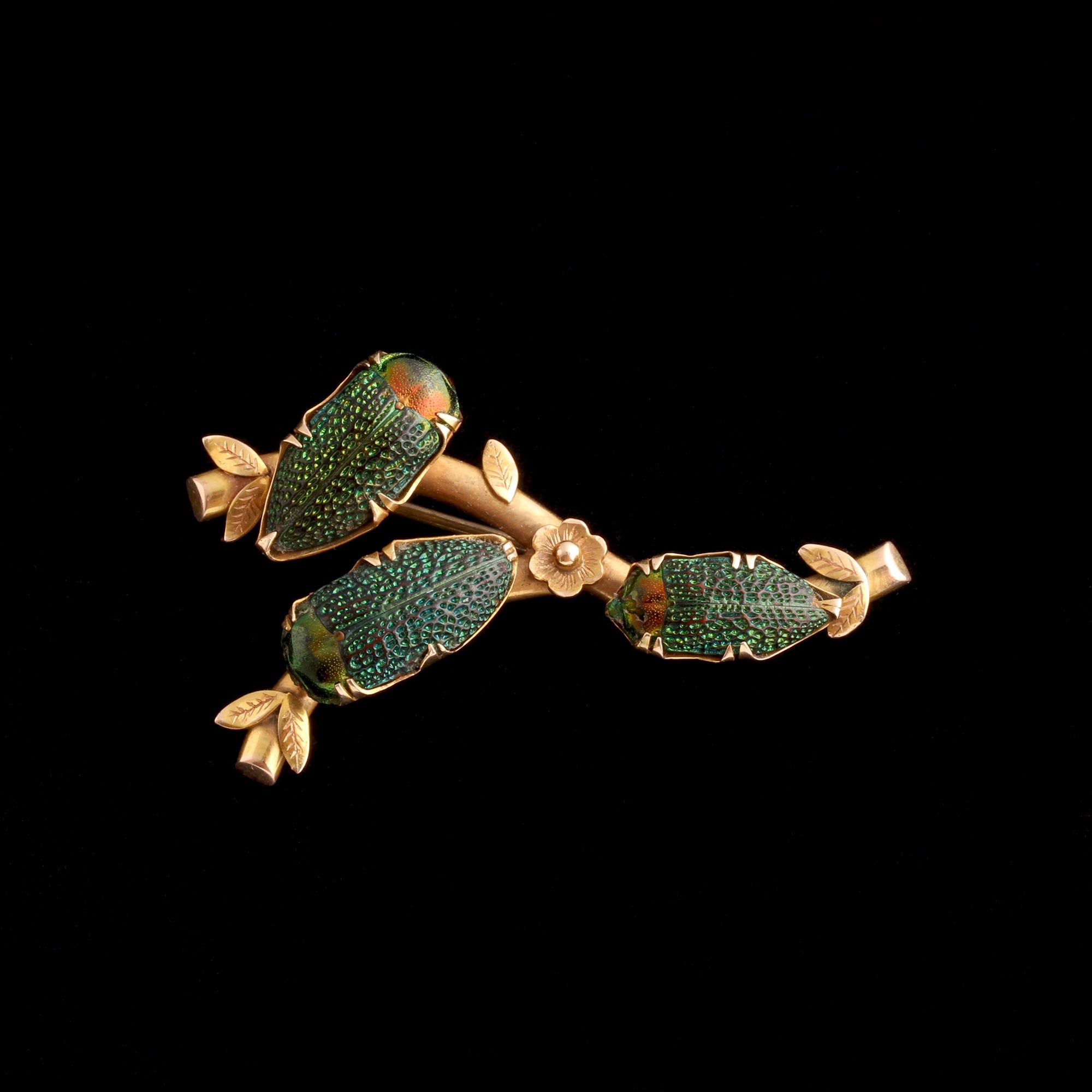 Victorian Scarab Beetle Brooch
