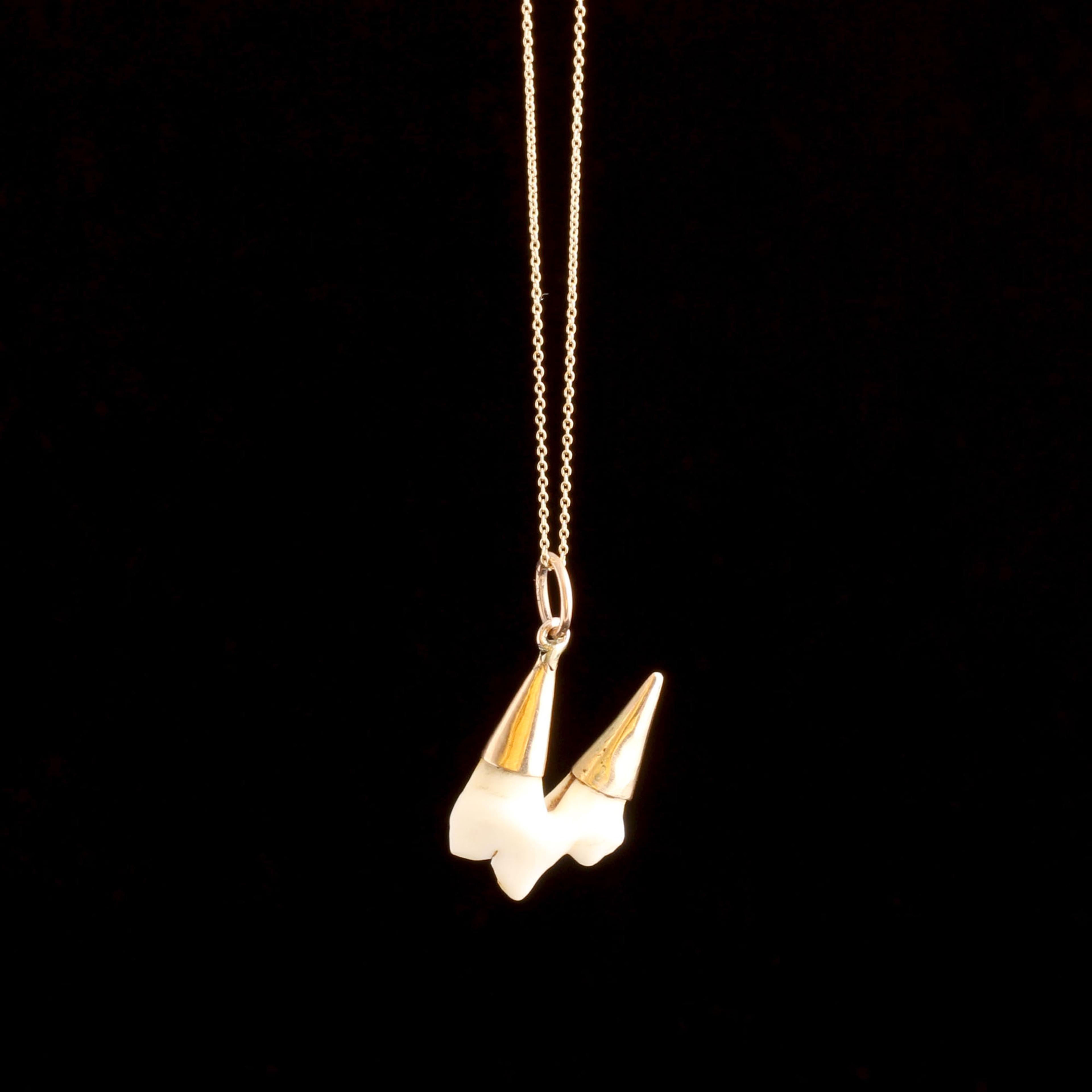 Late Victorian Dog Tooth Necklace