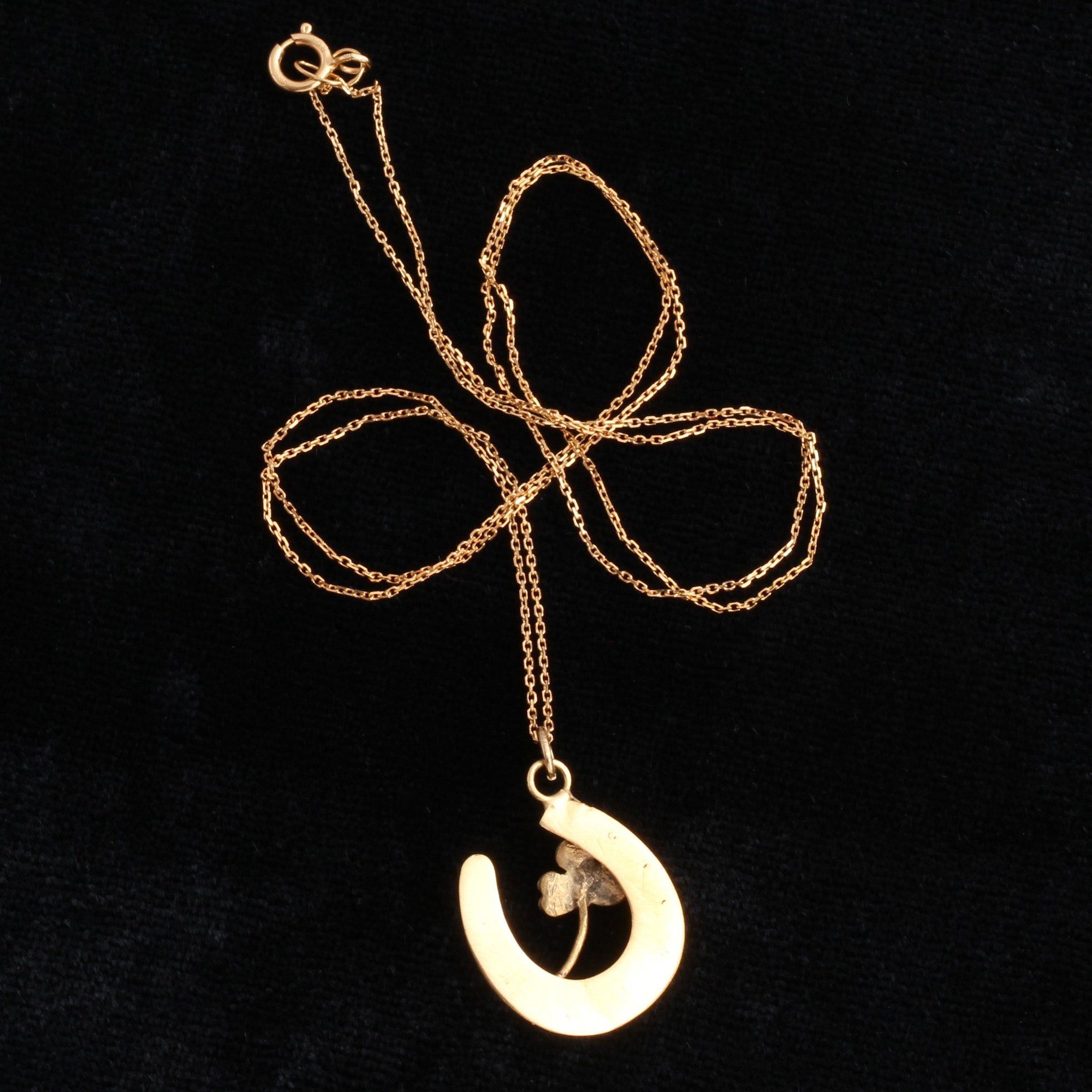 Victorian Horseshoe & Clover Necklace
