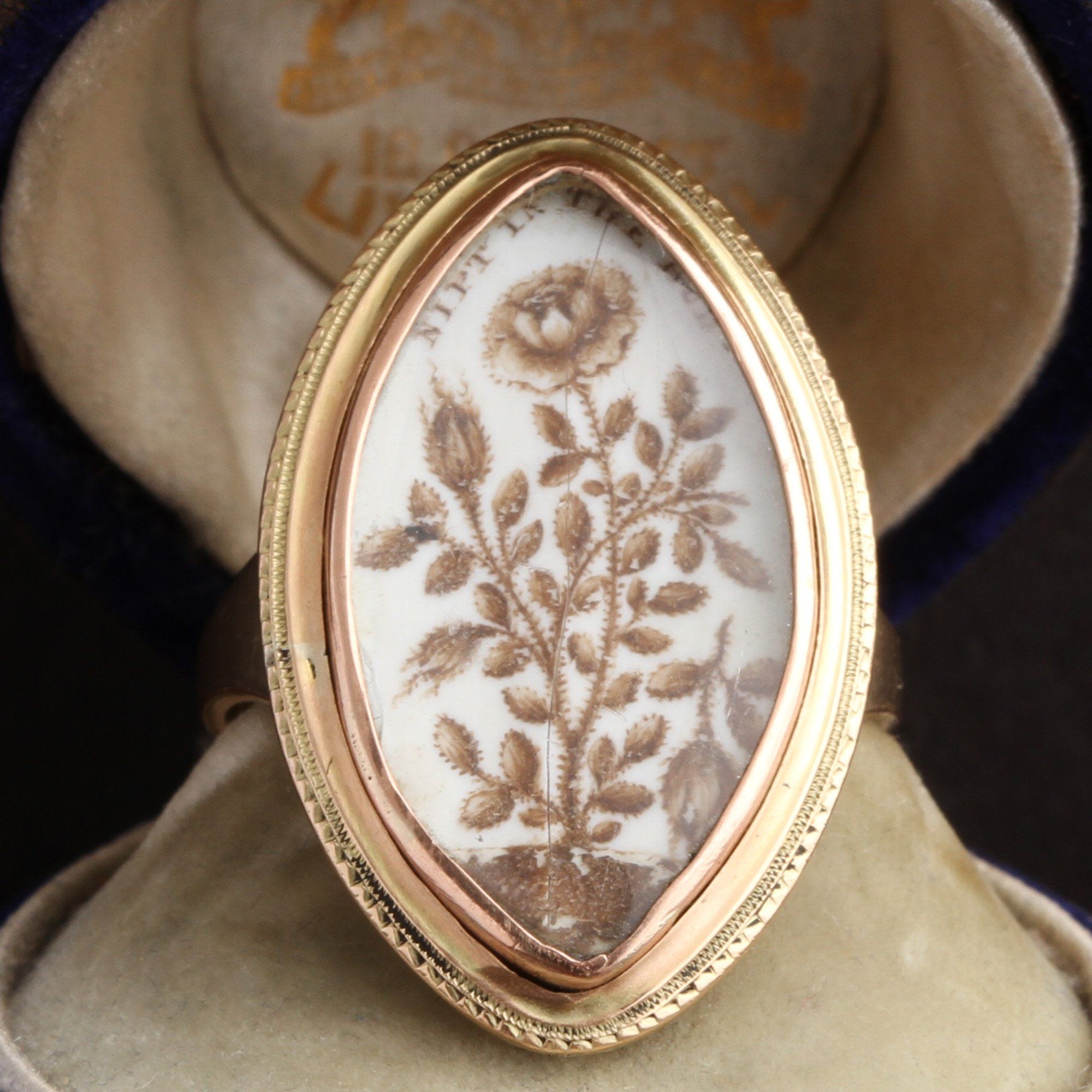 Face detail of Georgian "Nipt in the Bud" Sepia Mourning Ring
