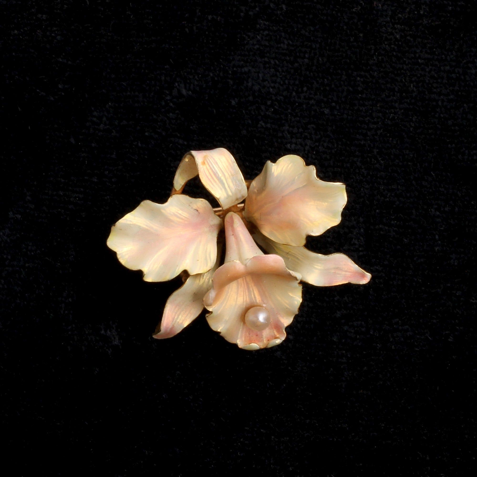 Edwardian Enamel & Pearl Orchid Brooch