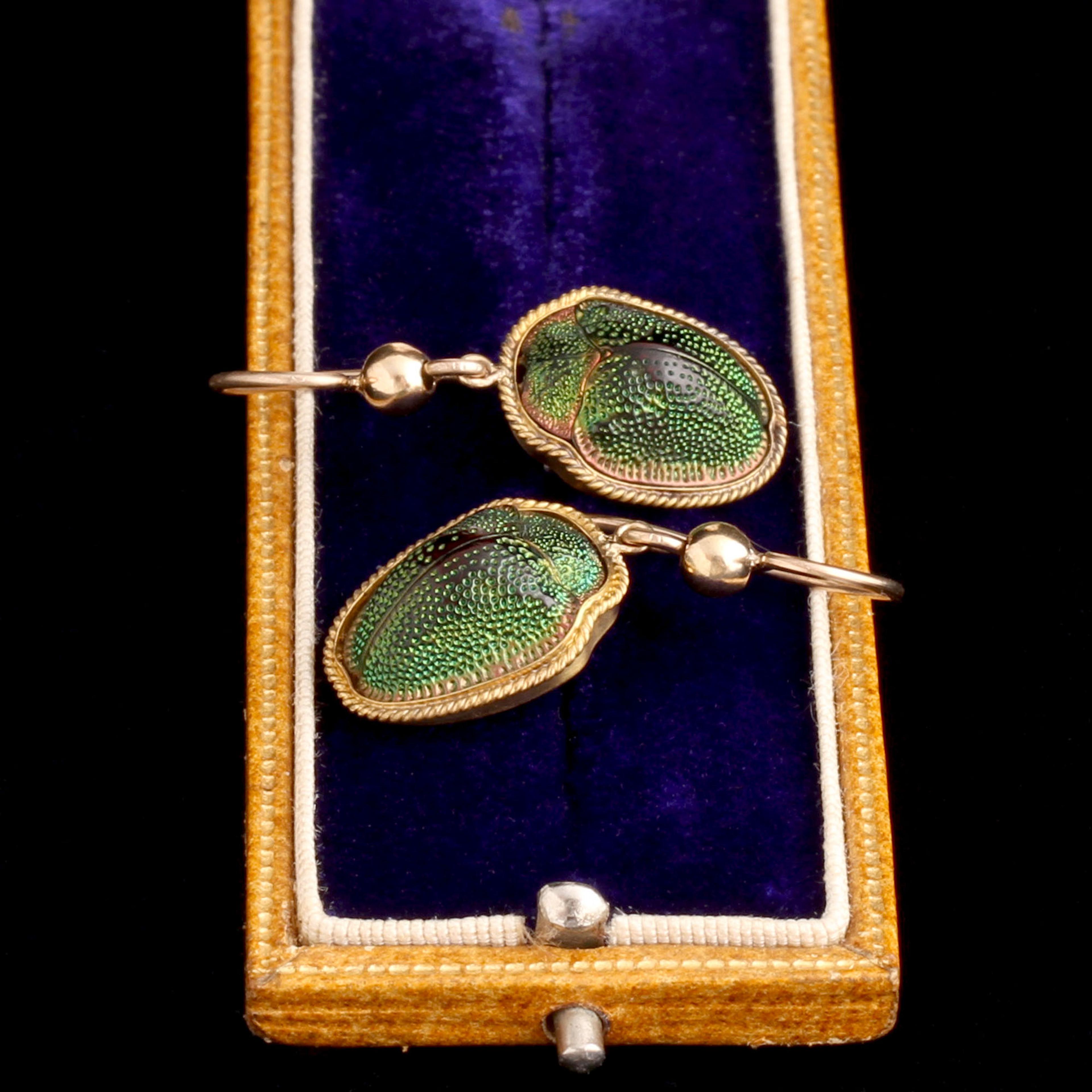 Detail of Victorian Twisted Wire Framed Beetle Earrings