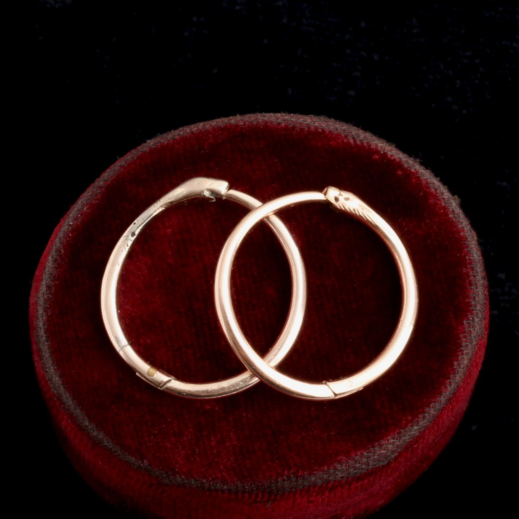 Georgian Serpent Hoop Earrings