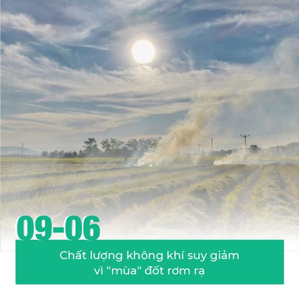 Tháng 6 đã xuất hiện những sự kiện gì đặc sắc?