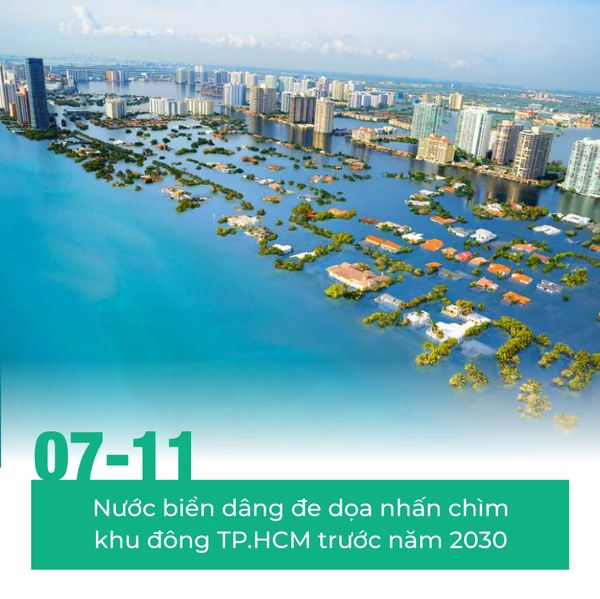 Tổng hợp tin tức tháng 11