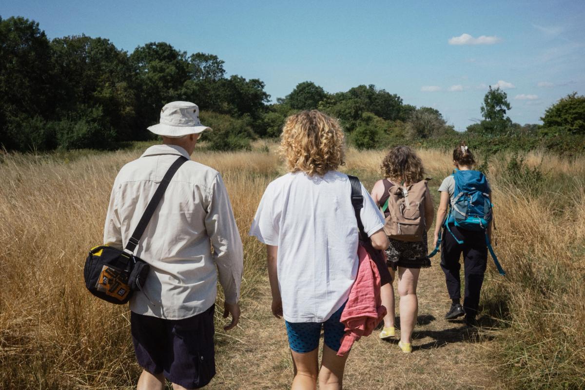 A group of four people walk through a field of long, dry brown grass surrounded by green trees