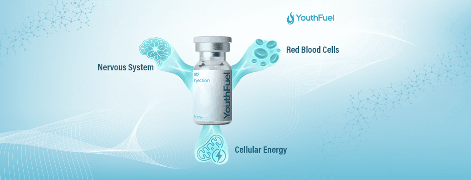 How Vitamin B12 Boosts Energy Naturally — No Crash, No Caffeine
