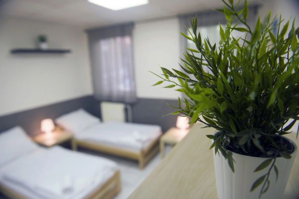 Hostel Seven - rooms