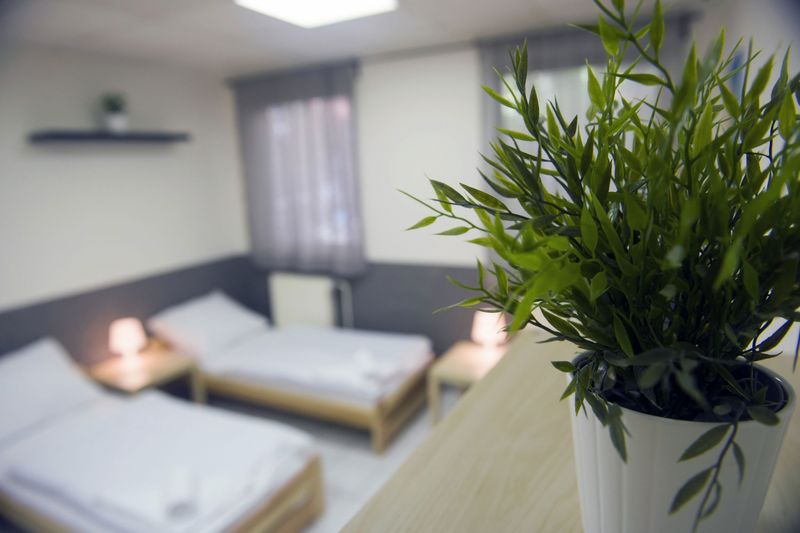 Hostel Seven - rooms