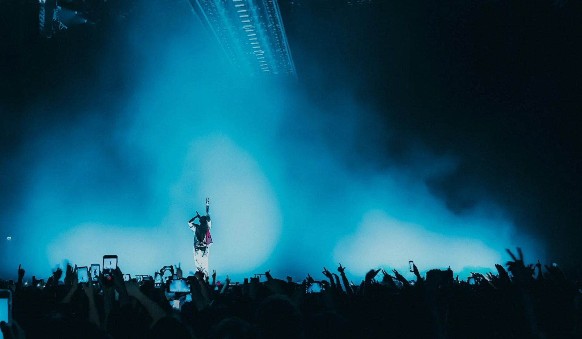 A concert picture with both the artist on the stage and the audience.