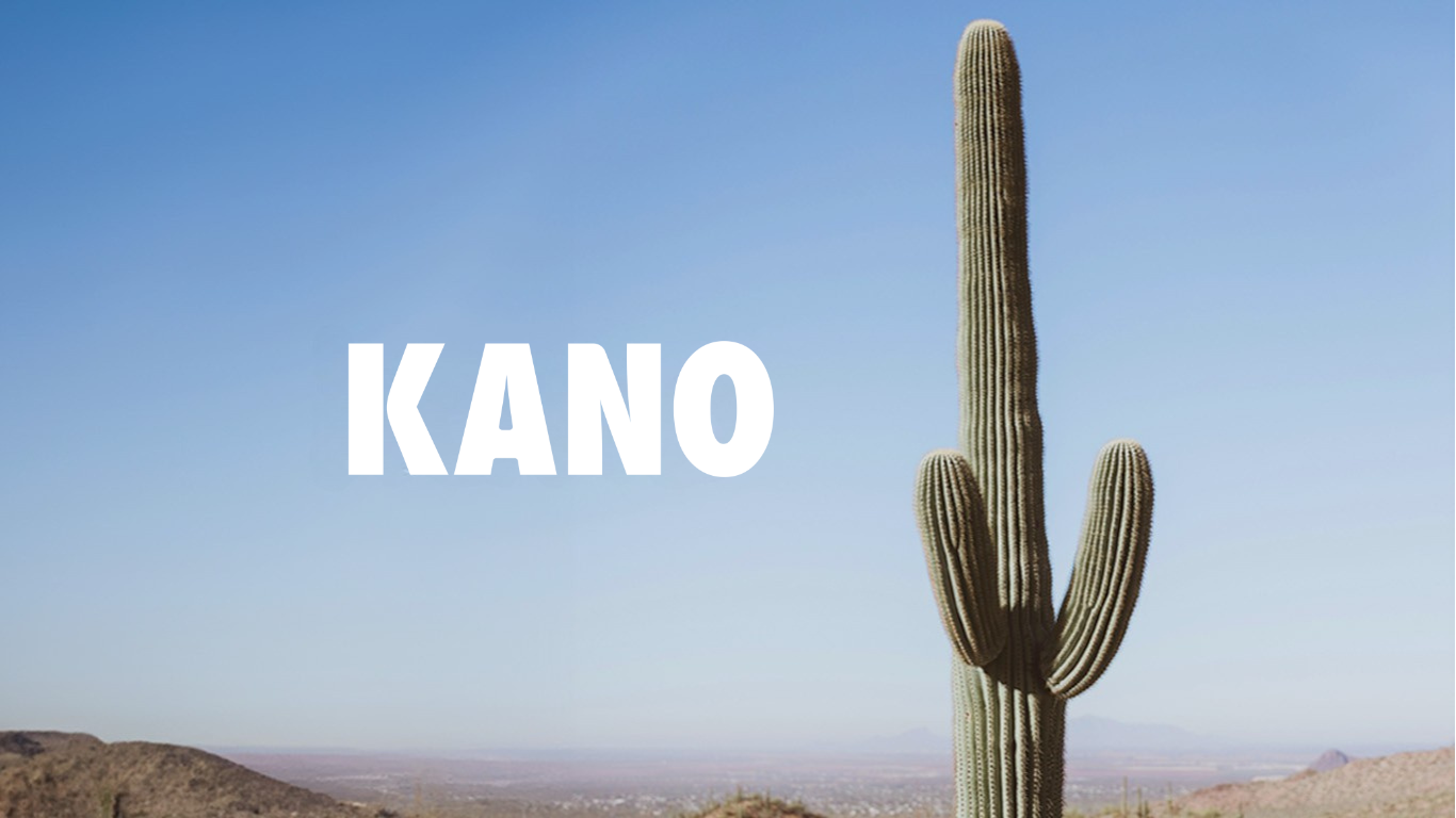 Accédez rapidement à des soins urologiques grâce à Kano : une plateforme innovante qui facilite le tri des patients et réduit les délais de consultation.