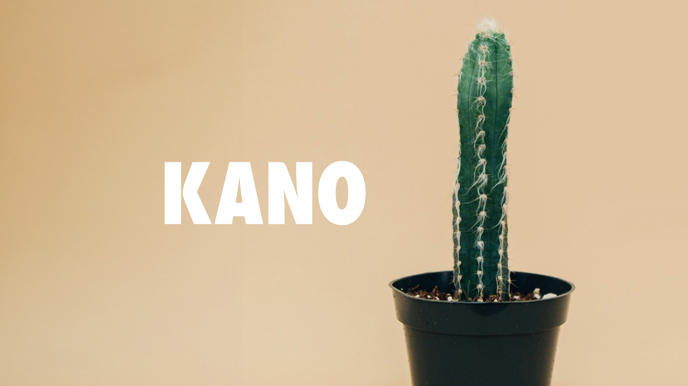 Kano Consultation en ligne discrète et rapide Kano-Troubles-erections-solution-ordonnances-medecin