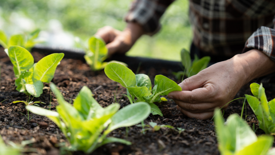 Plongez dans une expérience culinaire où santé et plaisir s’accordent à merveille. Nos créations équilibrées associent des ingrédients riches en nutriments et des saveurs exquises pour prendre soin de votre bien-être tout en ravissant vos papilles. Une alimentation saine et variée peut contribuer à améliorer la santé sexuelle et prévenir certains problèmes comme les troubles de l’érection. Cependant, si ces derniers persistent malgré une hygiène de vie adaptée, il est essentiel de consulter un médecin. Avec Kano.care, bénéficiez d’un accompagnement médical discret et professionnel pour retrouver votre bien-être intime en toute sérénité.