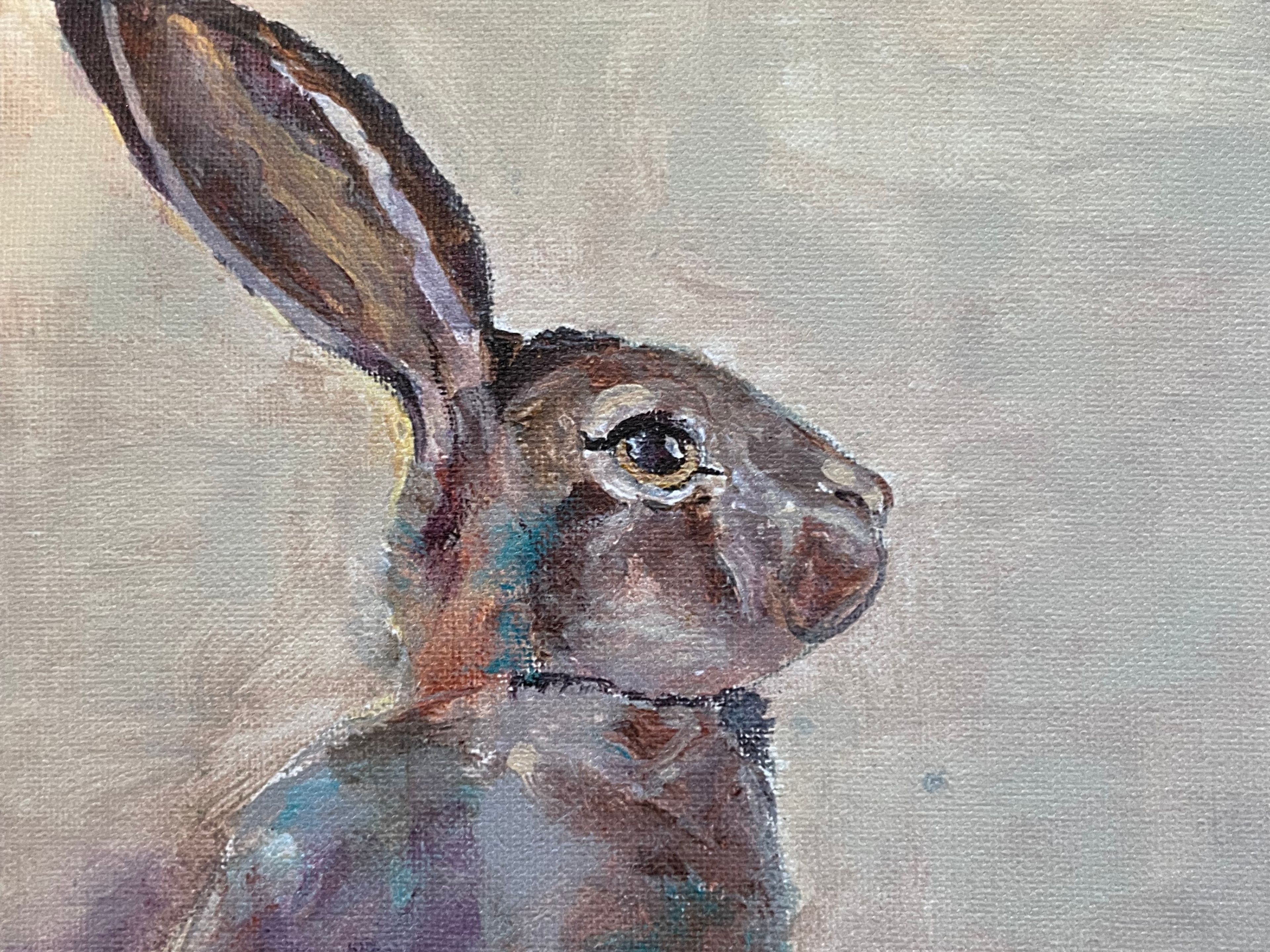 Rabbit