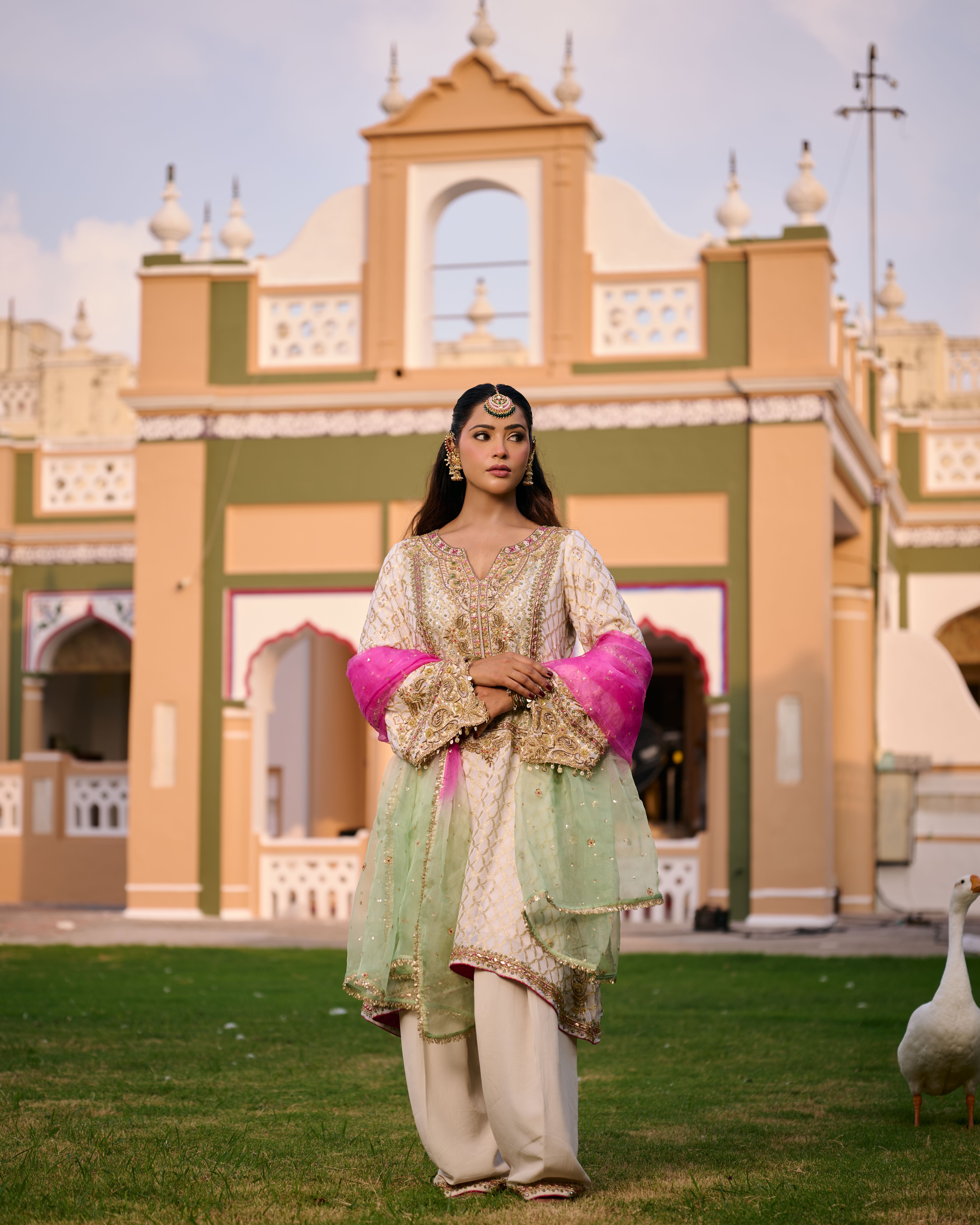 Ivory A line Salwar Suit