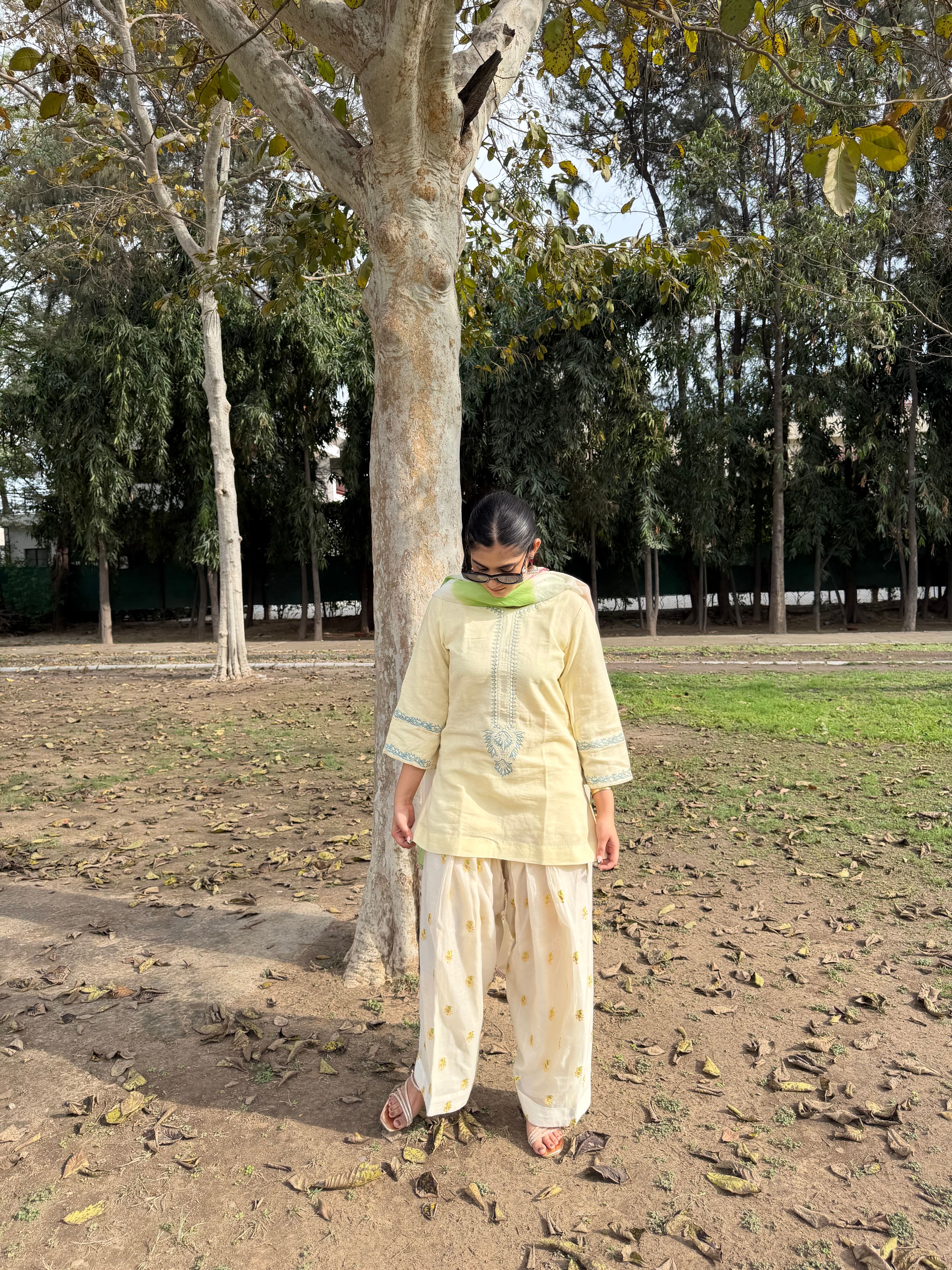 Lime Ivory Farshi Salwar