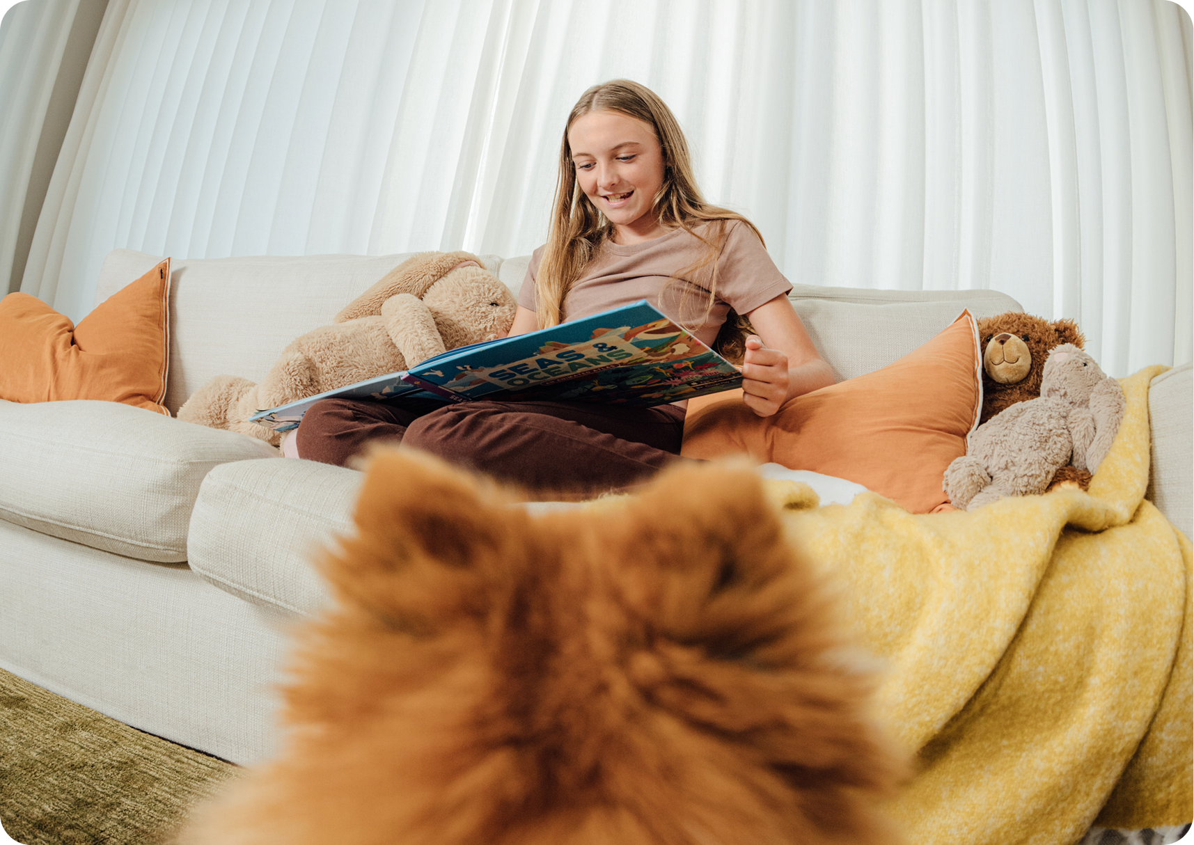 Pomeranian looking at girl on sofa reaching a book