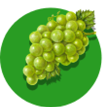Uva blanca