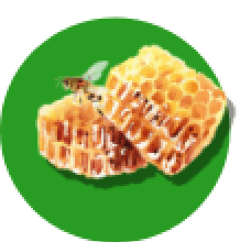Própolis