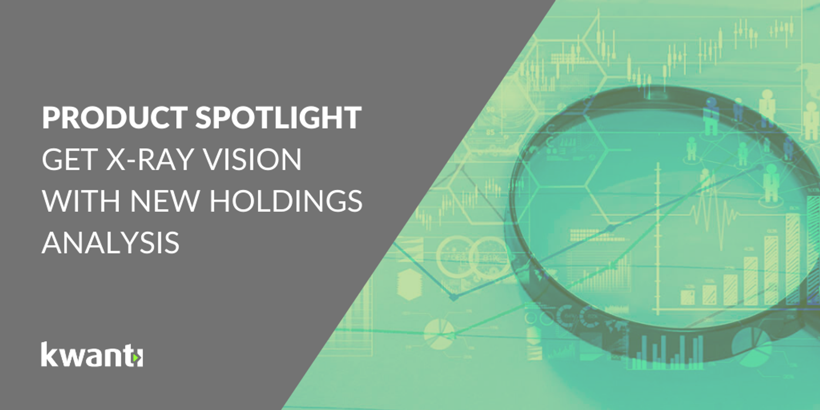 Holdings Blog