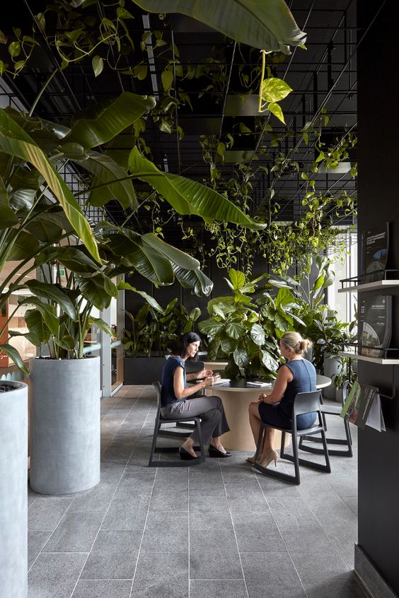 Vegetaux_Espacebureau