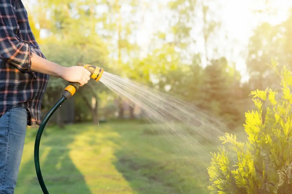 Watering_planting_Lawn