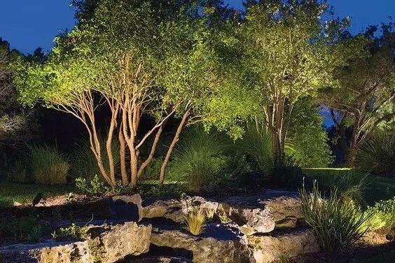 Lighting and irrigation in landscaping