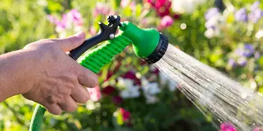 Garden and lawn watering