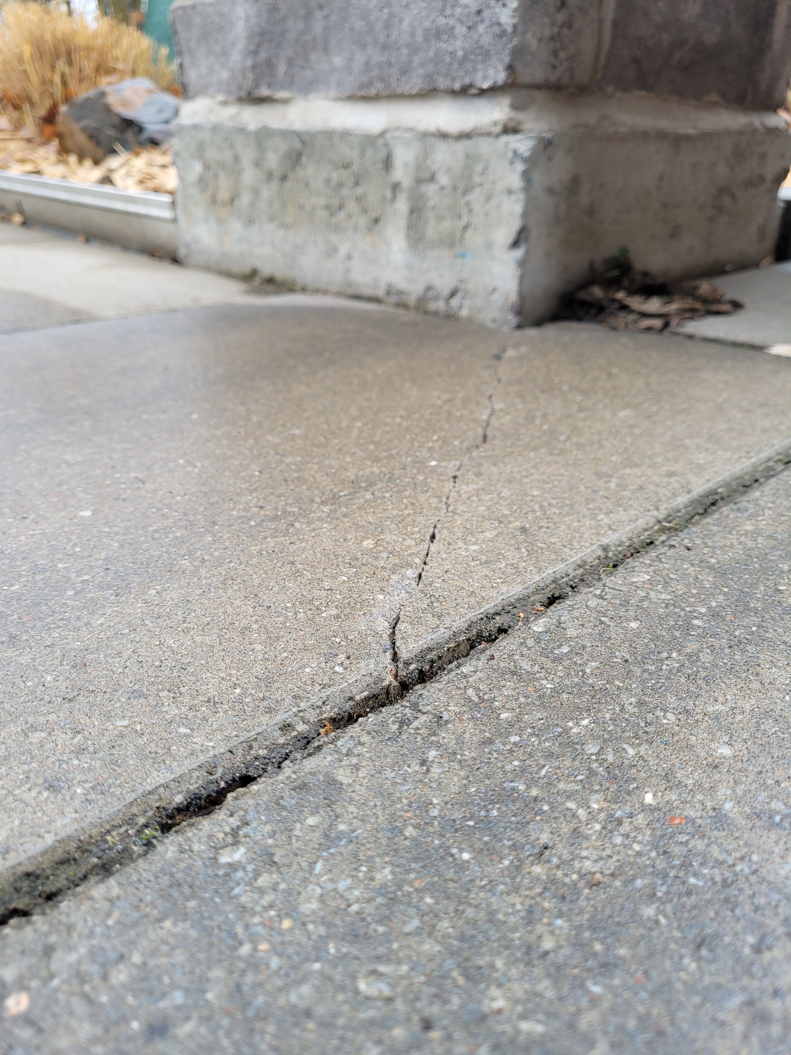 Fissure dans le pavé uni