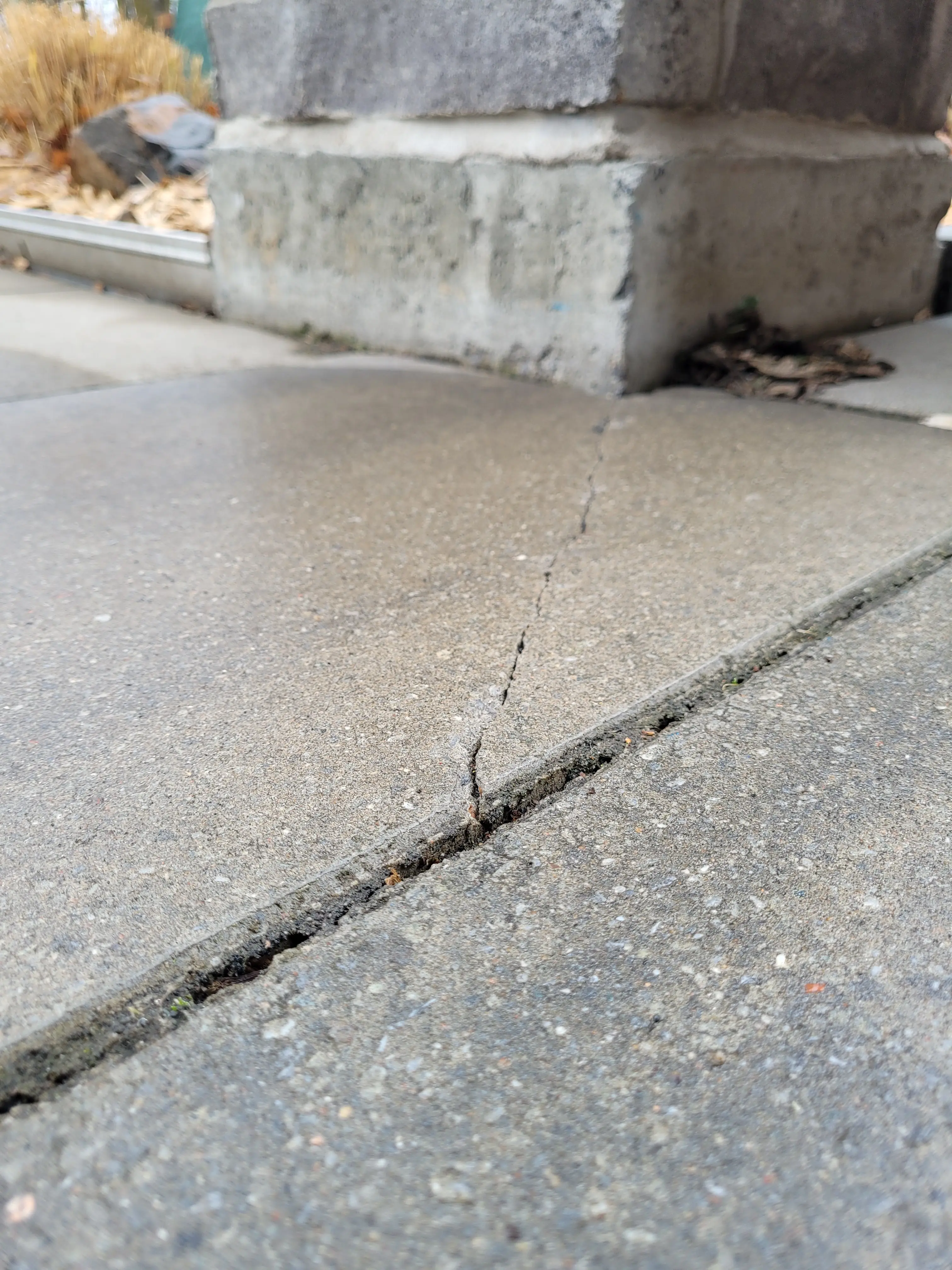 Fissure dans le pavé uni