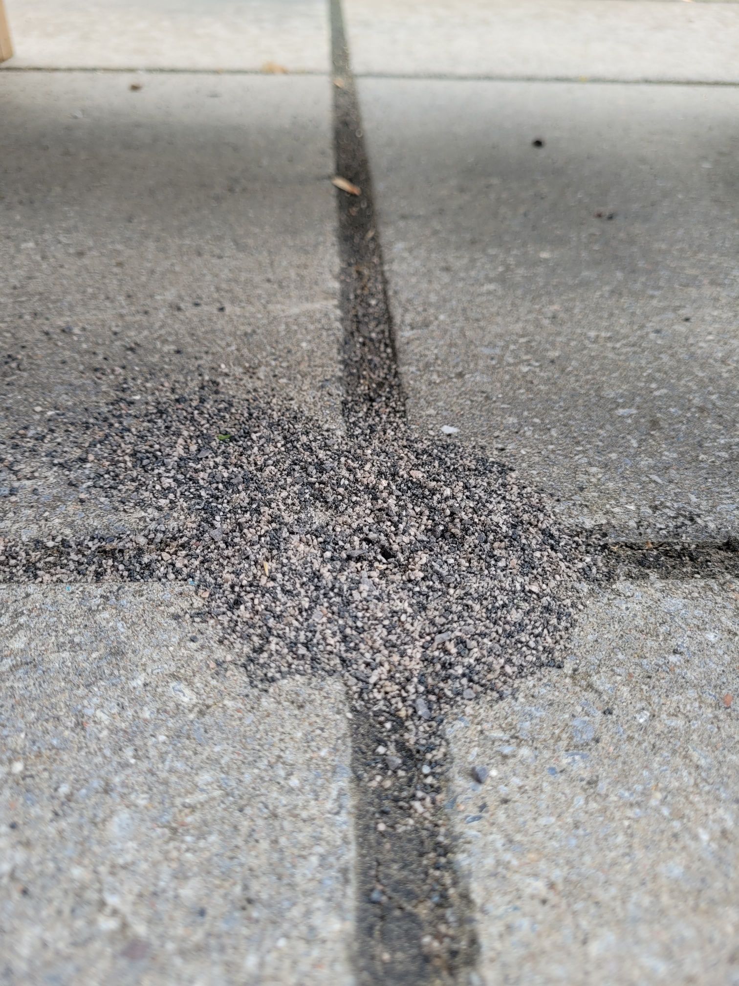 Repelling ants in sand joints