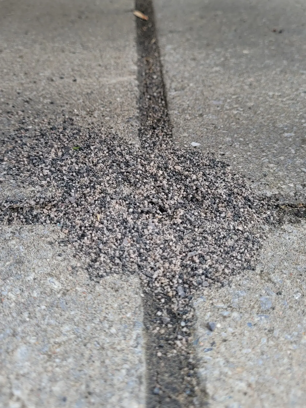 Repousser les fourmis dans les joints de sable