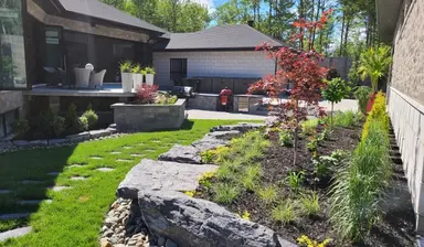 plantation de végétaux, d'arbustes et de tourbe