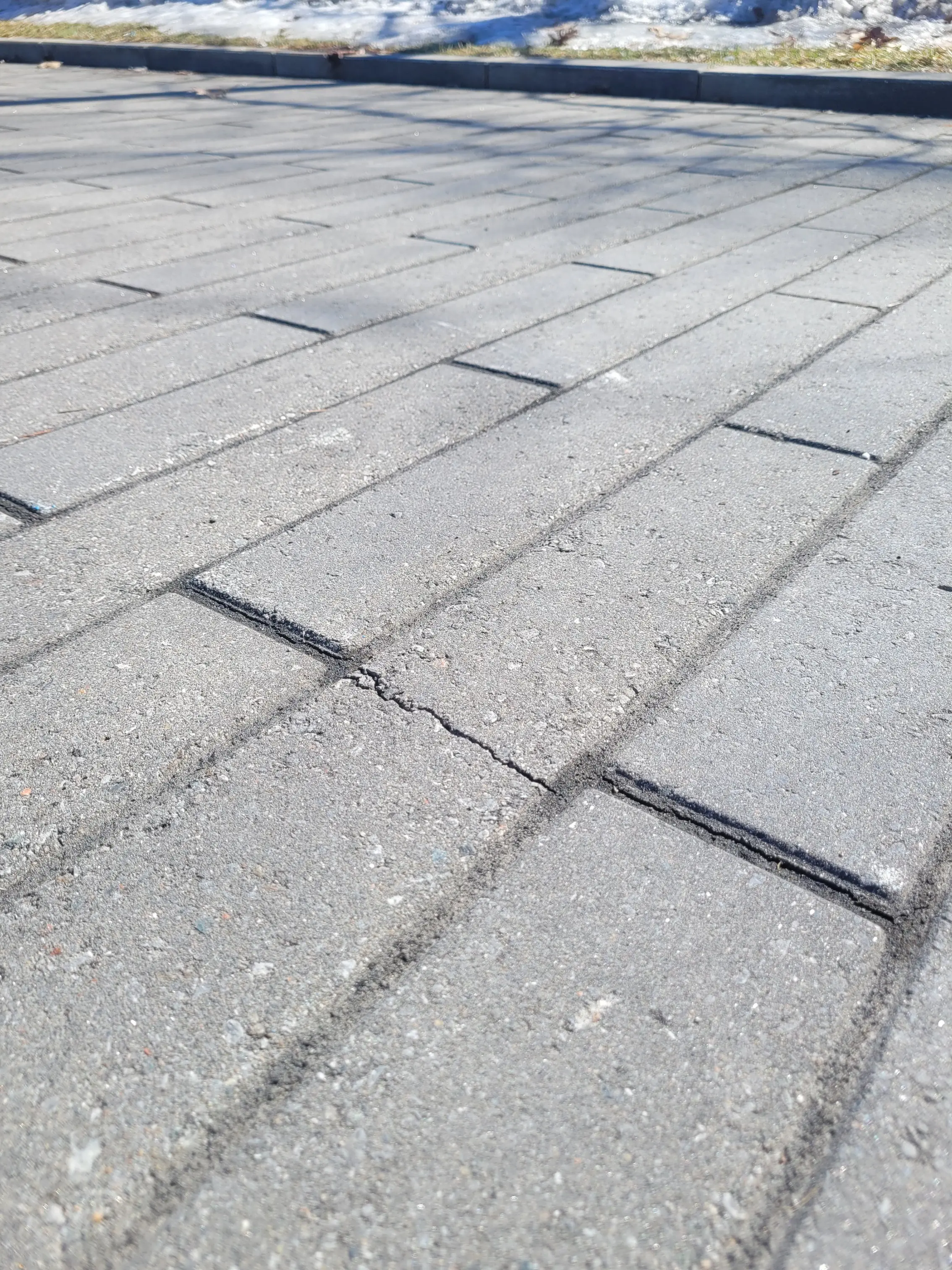 fissure dans le pavé uni