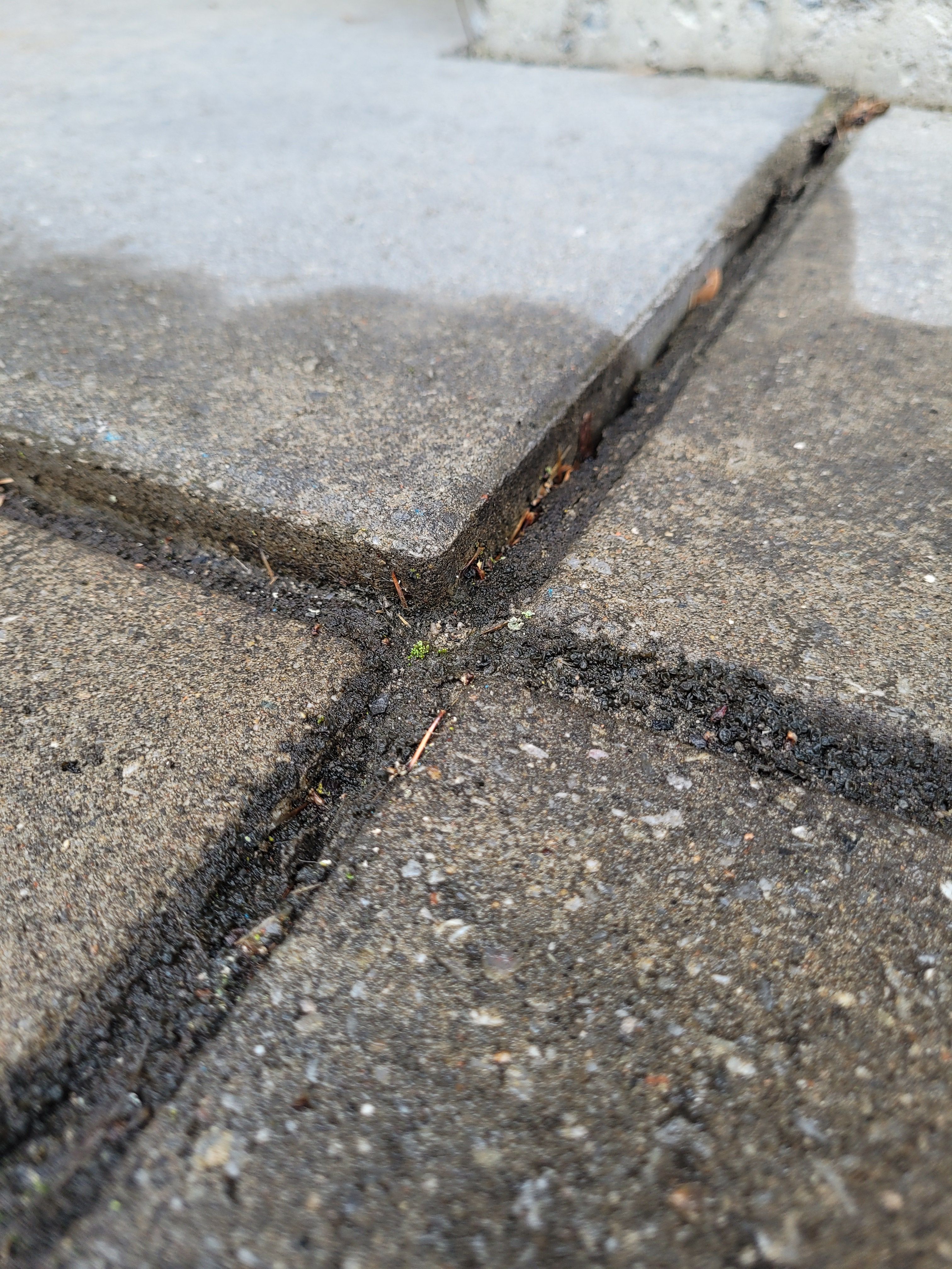 Impact du gel dégel sur le pavé uni