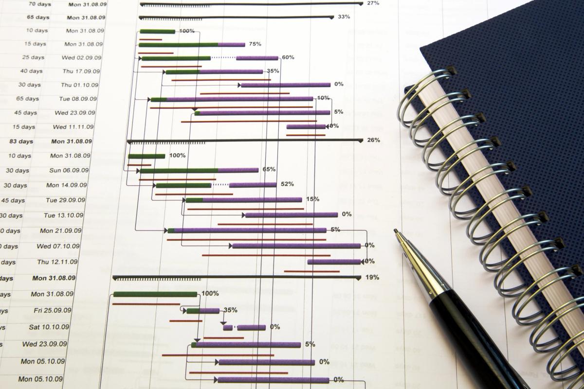 A project programme and Gantt chart for scheduling and coordinating a construction project.