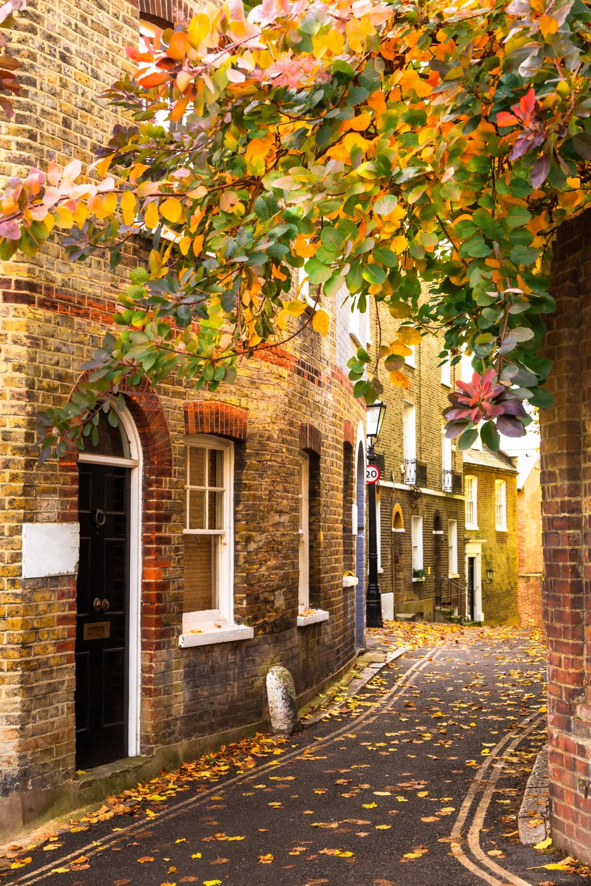 A period residential street of traditional brick homes, reflecting the refurbishments and developments Fernings delivers across Surrey and London.