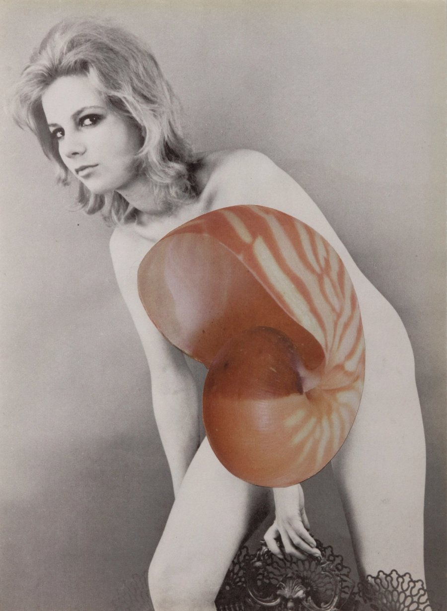 Portrait Obtained By Telepathy (2018) Signed print with collage