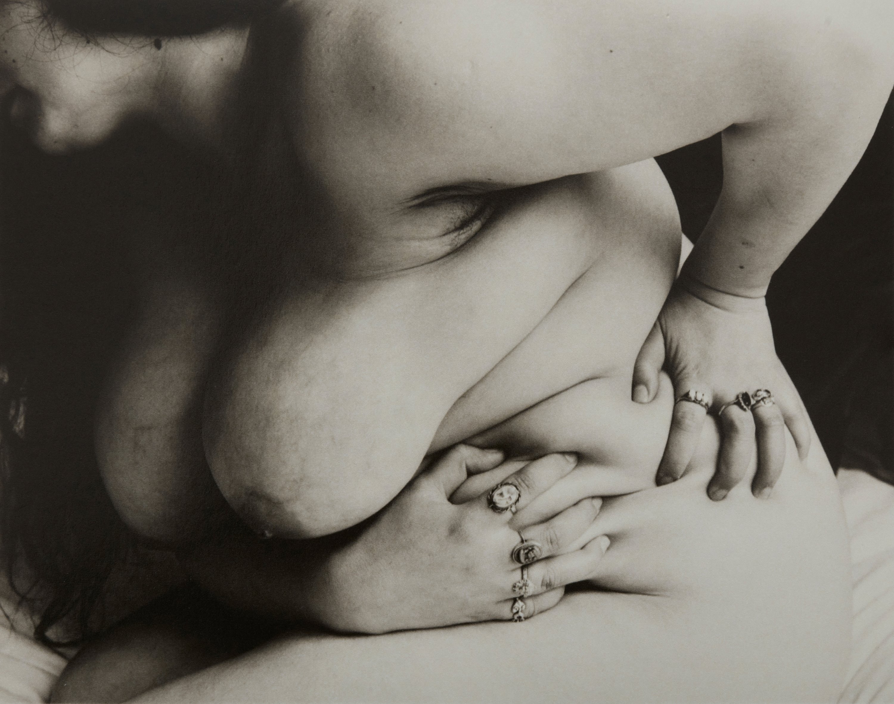 Steph Wilson 'Yasmin, Gilded Lilies' (2025)
