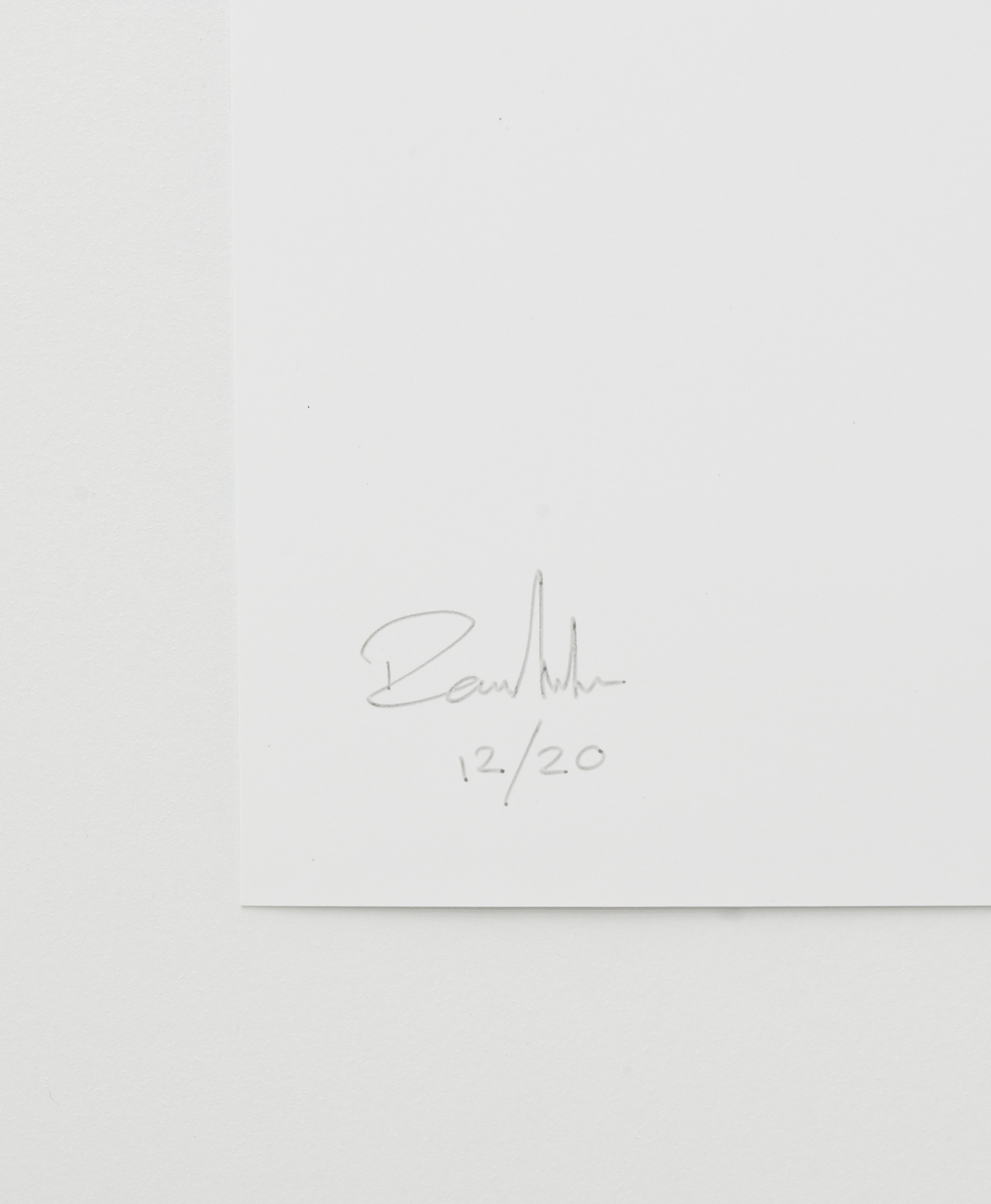 Daniel Archer 'Wax Flowers I' (2026)