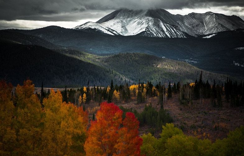 silverthorne-co-nature-inspired-color-palettes.jpg