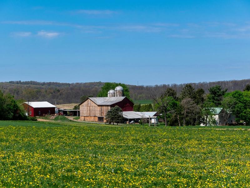 Local Farmers