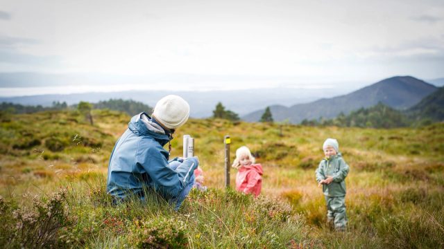 Laga for å vara