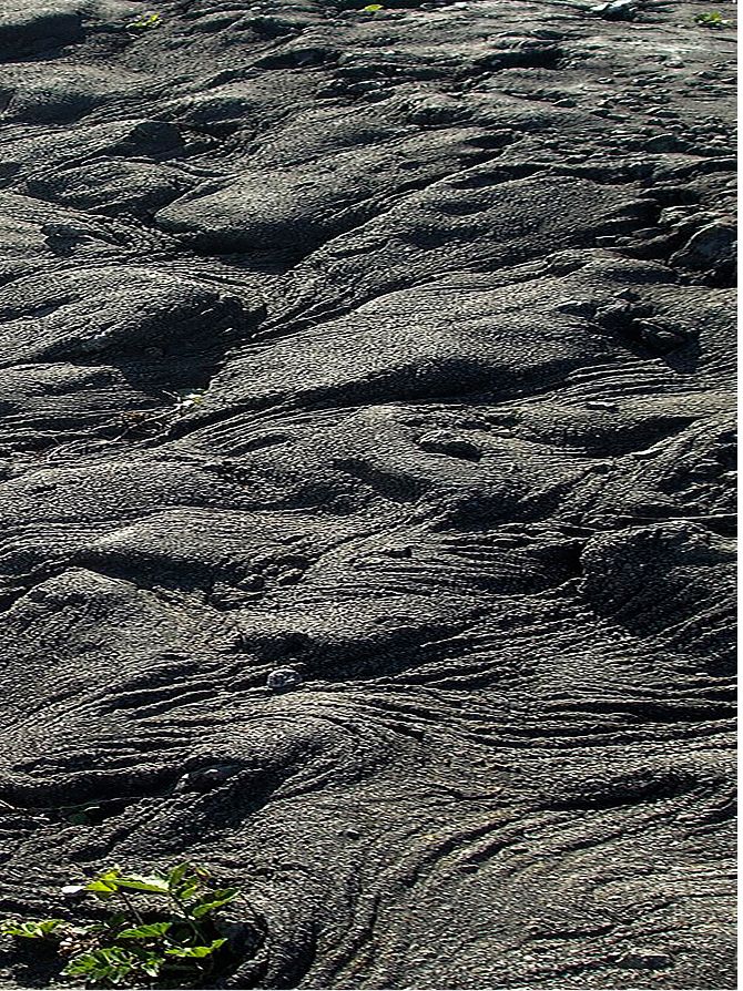 SEDIMENTAL WORKS, 1975-2025 | Official Carhartt WIP Online Store