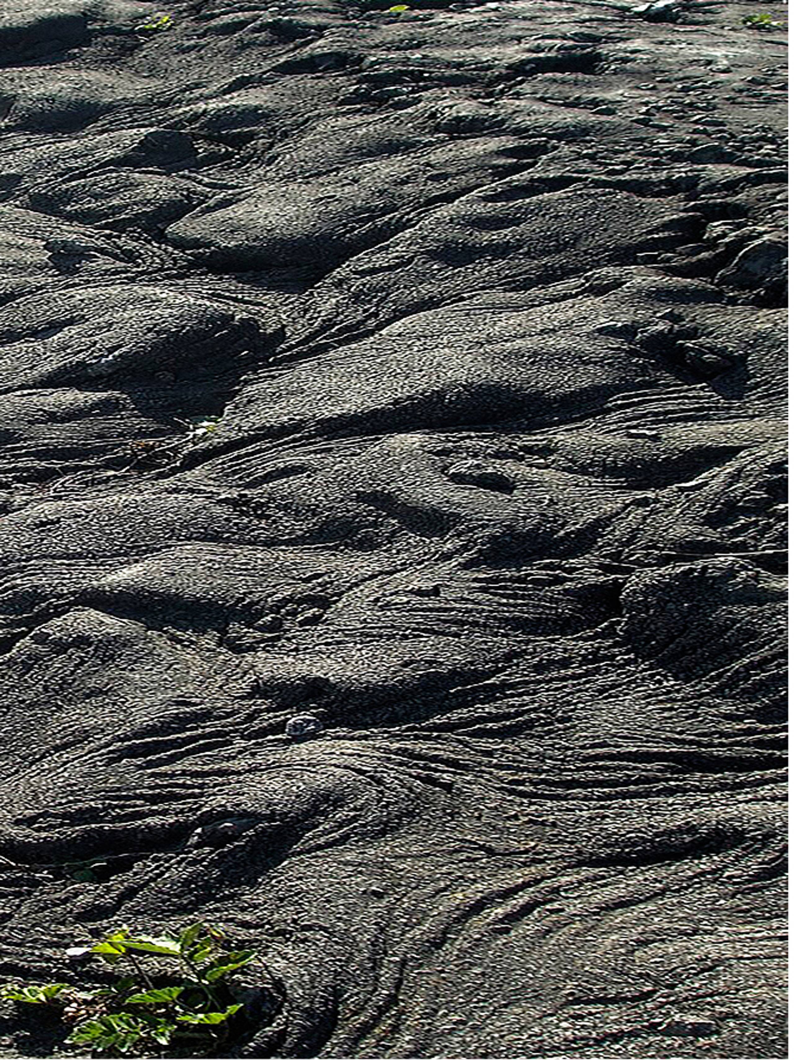 Still from the Carhartt WIP OG Active Jacket Sedimental Book