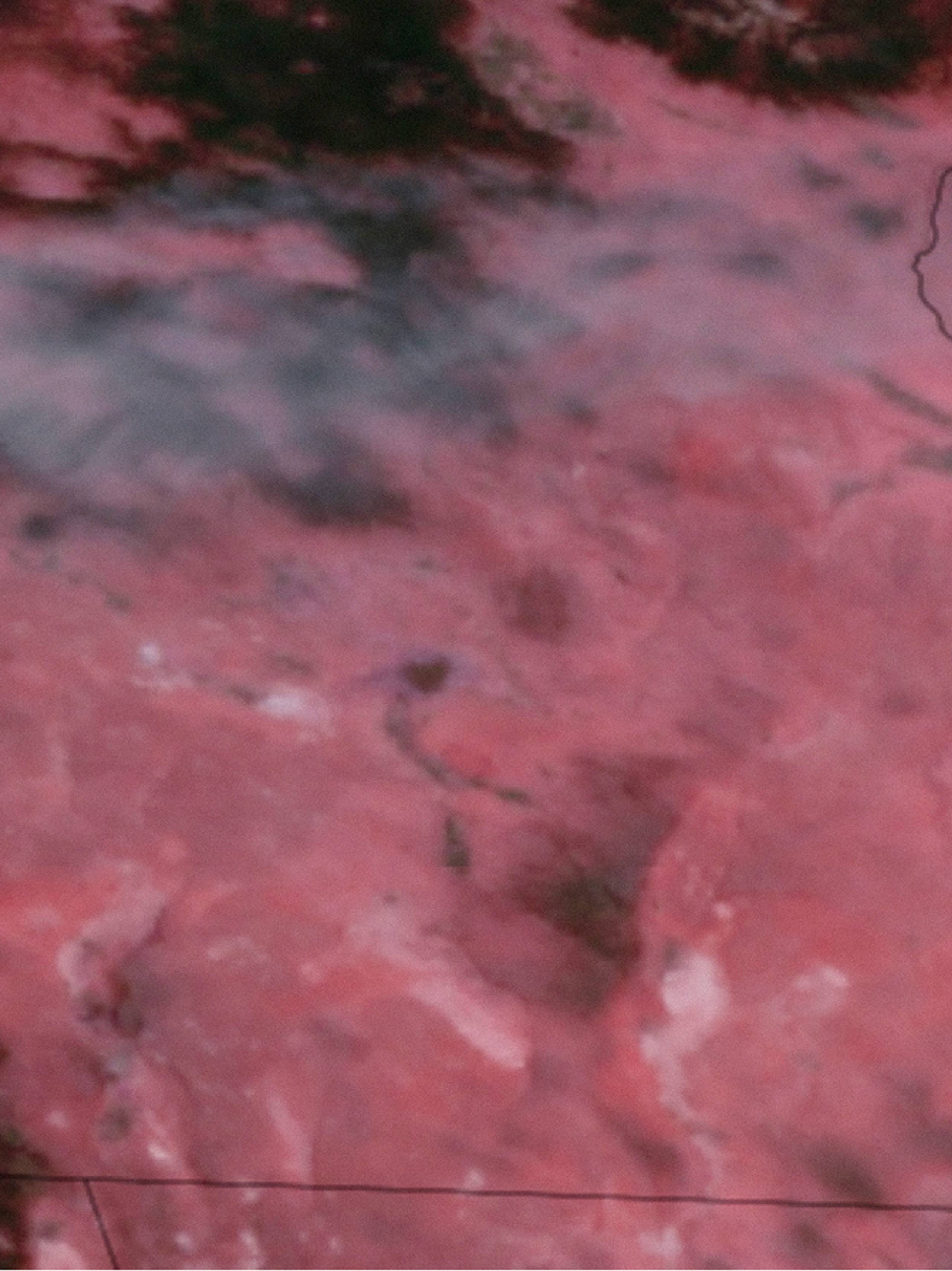 Still from the Carhartt WIP OG Active Jacket Sedimental Book