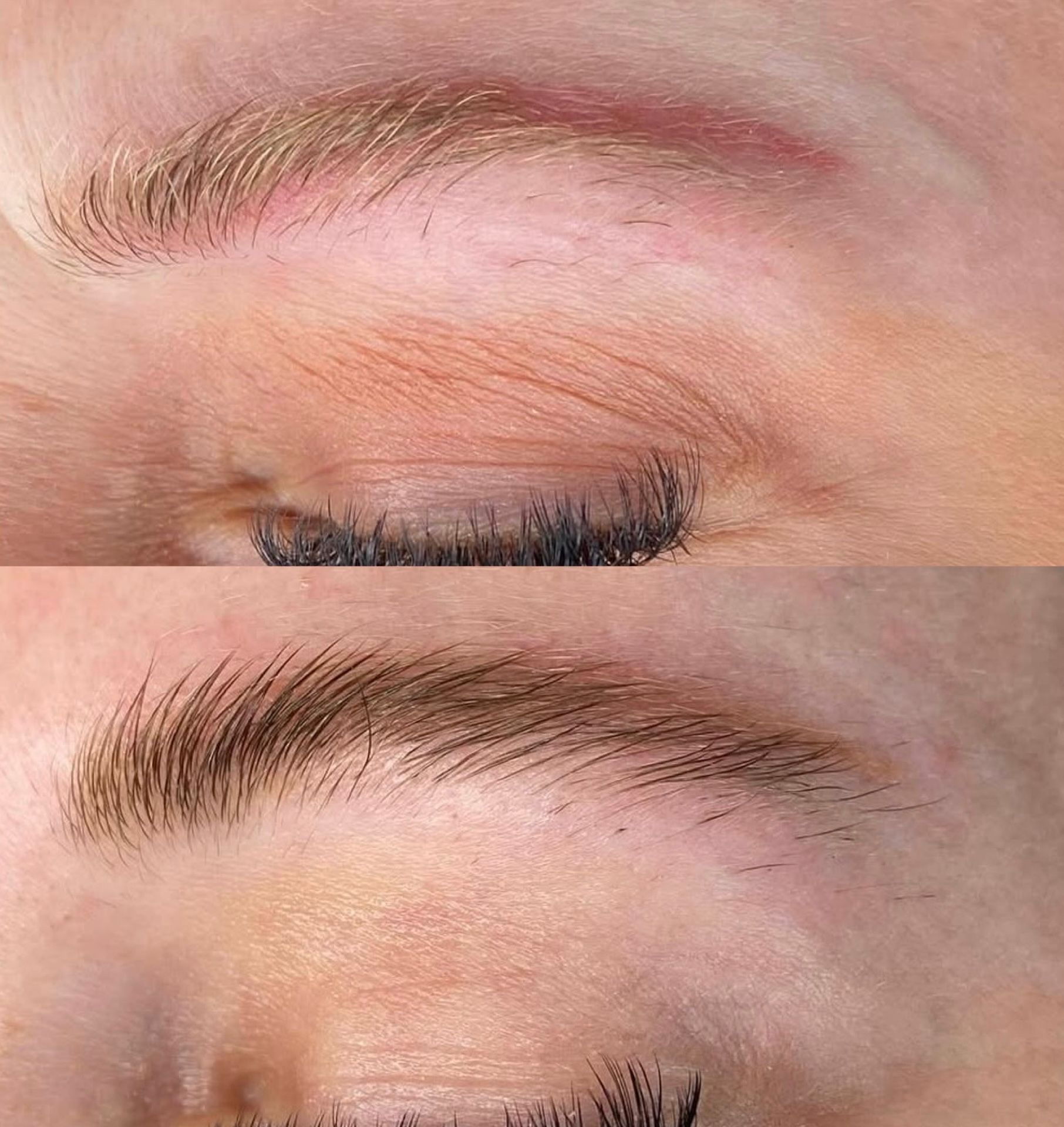 Zakaj je Brow Therapy poseben?