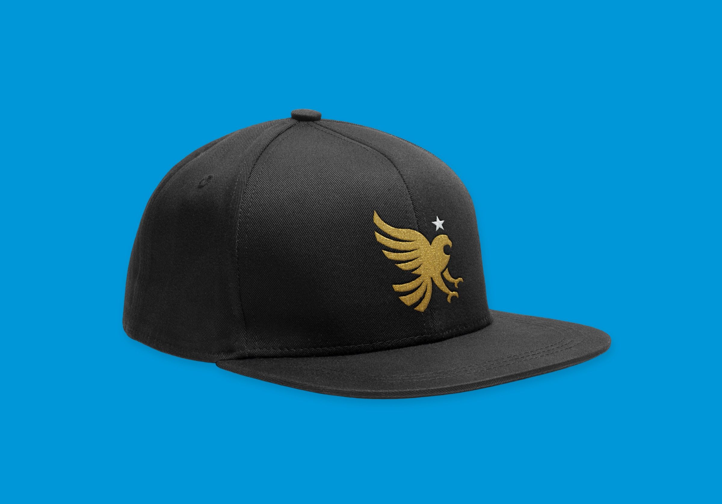 Sporting America, Sprting America Fitted Hat